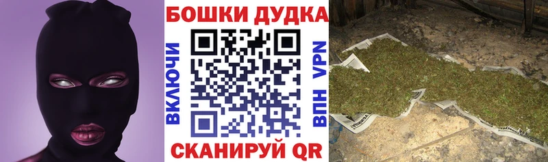 Бошки марихуана THC 21%  где найти   Завитинск 